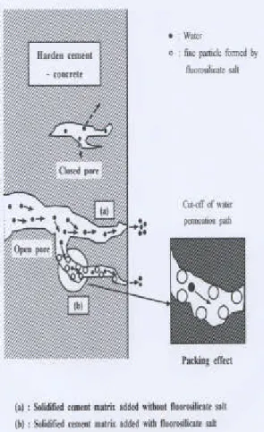 Fig. 1 Solidified cement matrix with WP(Degussa)