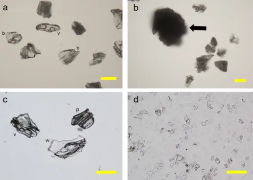 Fig. 5. Polarizing microscope images (open nicol) of coarse ash end-member (EM4; a-c) and fine ash end-member (EM3; d)