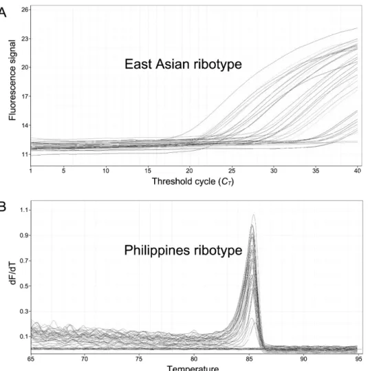 Fig 2.  Ribotype specific qPCR for detection of C. polykrikoides. A : East Asian ribotype detection using TaqMan based assay