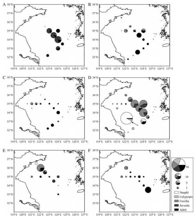 Fig. 3. Population structure and distribution of  Euphausia pacifica in the Yellow Sea during six transect cruises cited from  Sun  et al.(2011), A:September, B:December, C:March, D:May, E:June, F:August.