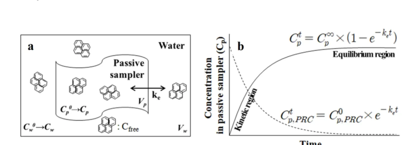 Fig. 1. Schematic processing of C free  uptake by passive sampler (a) and modes of passive sampler operation (kinetic and equilibrium) (b)