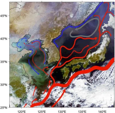 Fig. 1. Schematic currents in the seas around Korea including the East Sea, where the background image is an RGB composite  from GOCI data.