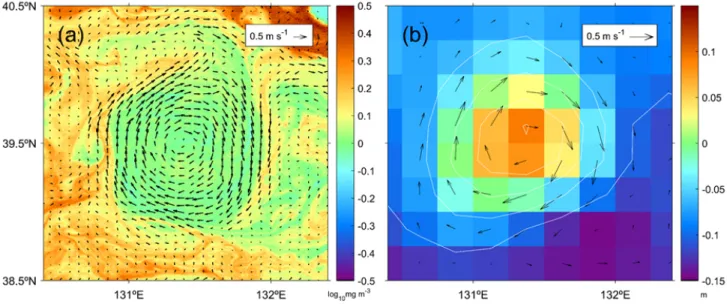 Fig. 7. (a) Daily-averaged current vectors estimated by a maximum cross correlation method from the GOCI chlorophyll-a concentration images and (b) geostrophic current vectors estimated using sea surface height anomaly from satellite altimeter for the Case
