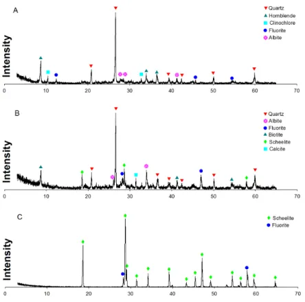Fig. 16. XRD analysis of products. (A) tailing, (B) middling 1, (C) final scheelite concentrate.
