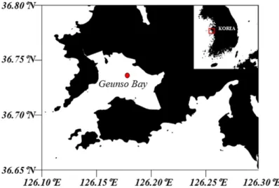 Fig. 1. Location of tidal flat at the Geunso Bay and sampling site (red point).