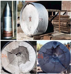 Fig. 9. Full-scale impact test (Hansson et al., 2001).