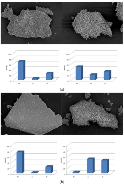 Fig. 7. SEM images for sludge (a) System of original process, (b) System of Buffer addition of a process