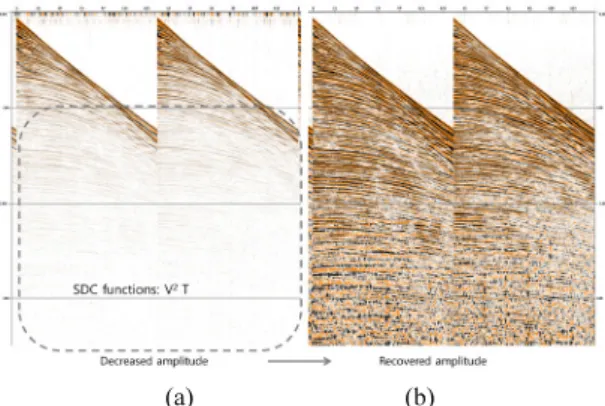 Fig. 4. An example of spherical divergence correction. (a) a  test of correction function and (b) spherical divergence  corrected data.