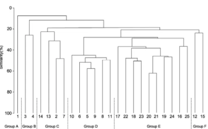 Fig. 4. Dendrogram from the cluster analysis based on the abundance data of the subtidal macrobenthic community in  Wando-Doam Bay, southern coast of Korea in August 2013.