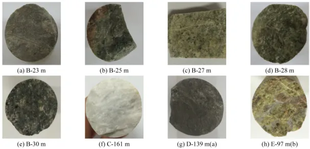 Fig. 3. Photographs of borehole samples distinguished in the Alteration Box Plot.