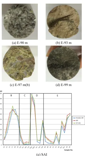 Fig. 5. Photographs of borehole E samples, and a graph of SAI  for 200 mesh powder samples