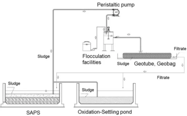 Fig. 2. Schematic diagram of a sludge dewatering system using flocculation and self-filtration.