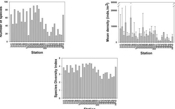 Fig. 3. Number of species, density, and species diversity index of benthic polychaete at each sampling site.
