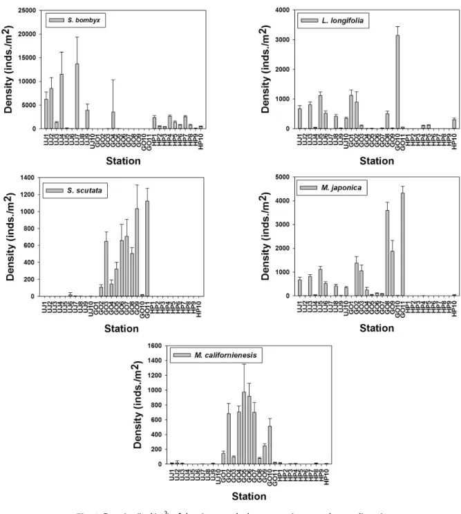 Fig. 4. Density (ind/m 2 ) of dominant polychaete species at each sampling site.