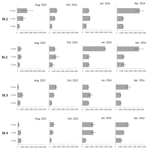 Fig. 7. Vertical distribution of meiobenthic community in the study area. 수직분포의 계절변동 값은 St