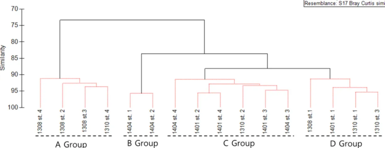 Fig. 8. Dendrogram showing the similarity between stations based on the meiobenthos in study area.
