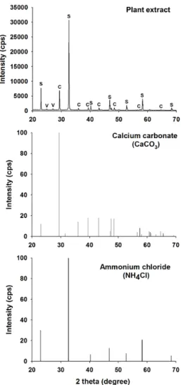Fig. 5. X-Ray diffraction (XRD) patterns of the precipitated  CaCO 3  by plant extract