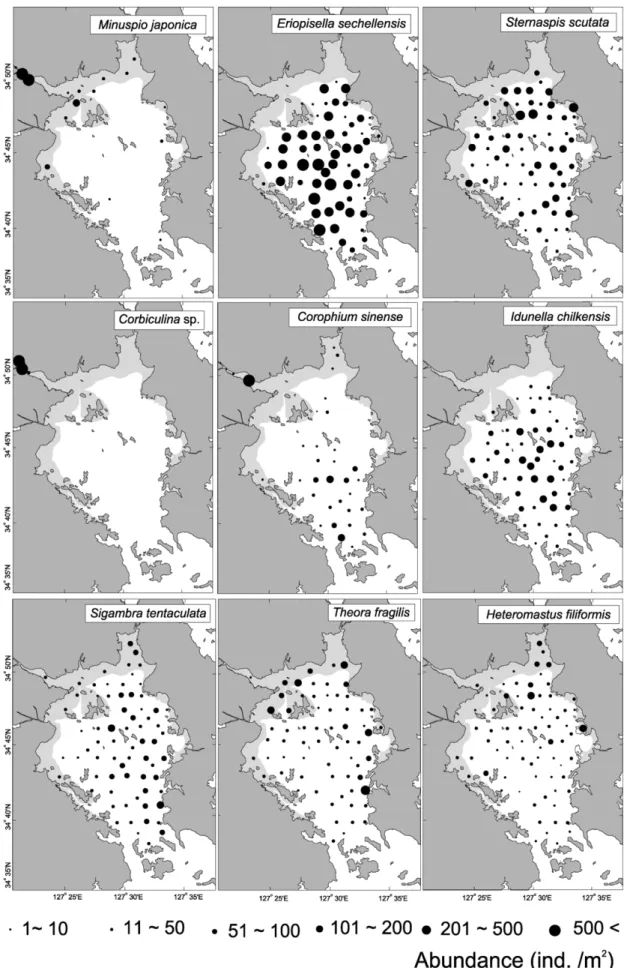 Fig. 5. Spatial distribution of major dominant macrobenthic species in Yeoja Bay, south coast of Korea.