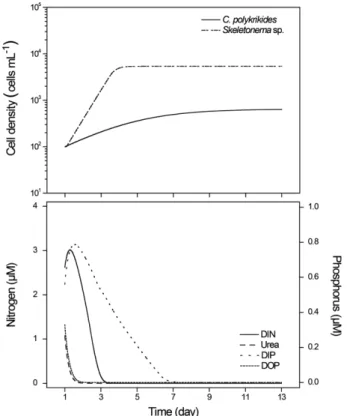 Fig. 5. Simulation of the species competition experiments. Batch culture with 19.2 μM DIN and 1.2 μM DIP