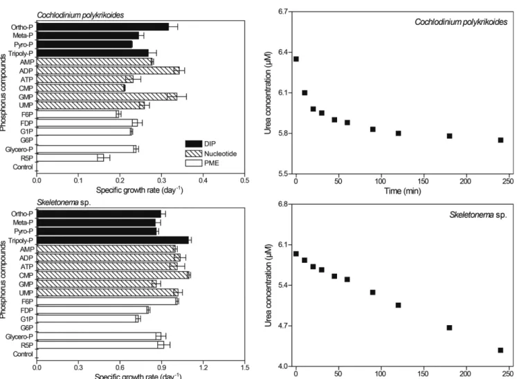Fig. 3. Specific growth rate (day -1 ) of Cochlodinium polykrikoides and Skeletonema sp
