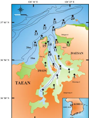 Fig. 1. A map showing the bathymetry and sampling stations in Garolim Bay, west coast of Korea.