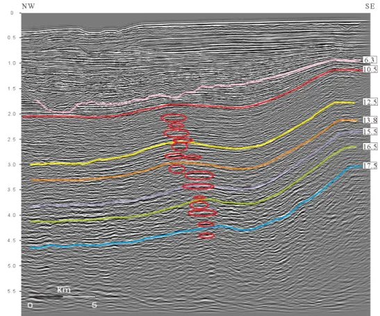 Fig. 11. Direct hydrocarbon indicators observed in the Ulleung Shelf Basin. Note flat and bright reflections highlighted  by red ellipses
