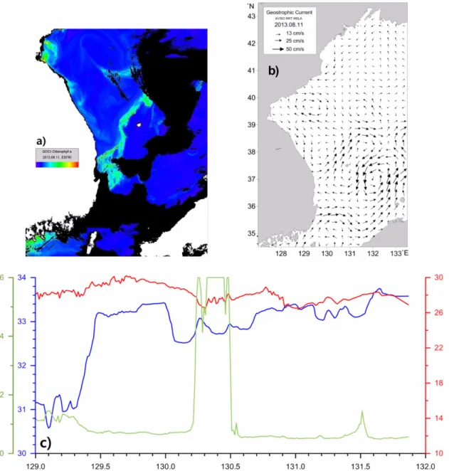Fig. 10. Chlorophyll-a image derived from GOCI on 11 Aug. 2013 (upper left; a) with surface current distribution derived from AVISO in the western East Sea on 11 Aug