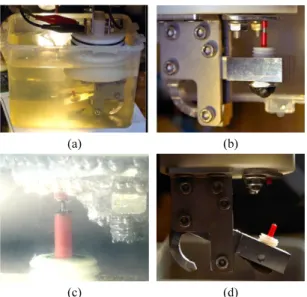 Fig. 4. (a) small plastic pot for the electrolysis test, (b)  release before the electrolysis, c) stainless steel on the  electrolytic erosion, and (d) release after the electrolysis.
