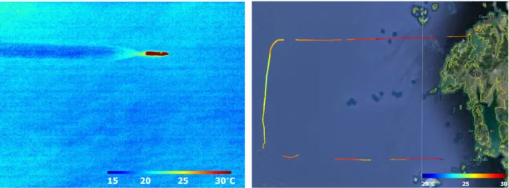 Fig. 10. SAR image of Jebu tidal flat obtained from airborne SAR sensor.