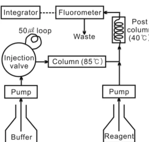 Fig. 1. Schematic diagram of the HPLC system for ammonium iso- iso-tope analysis.