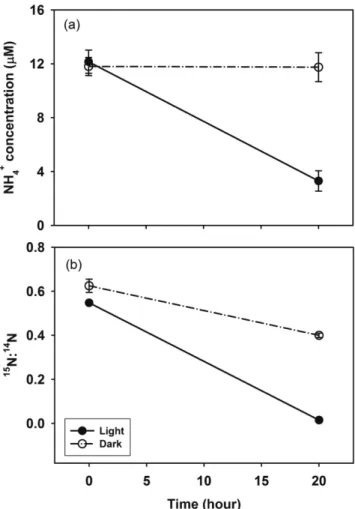 Fig. 5. Changes in (a) ammonium concentration and (b)  15 N pro- pro-portions in the ammonium ion over time in seawater incubation experiments with water samples of the Youngsan River Estuary.