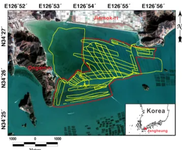 Fig. 1. The study area and hydroacoustic transect (yellow line). Dot- Dot-ted red line is indicaDot-ted a specific research area to compare seagrass distribution between hydroacoustic data and satellite image  (Komp-sat-2 MSC, RGB-321 composite image on 7 