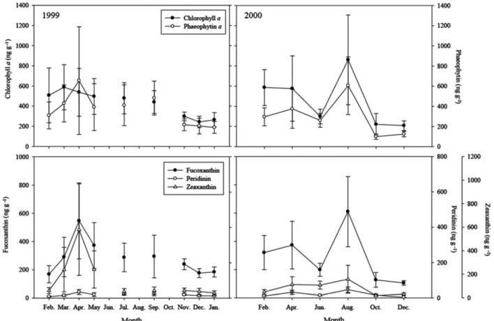 Fig. 3. The temporal variations of chlorophyll a, phaeophytin a, and main pigment concentrations in the surface sediments of the Gomso Bay during 1999-2000.