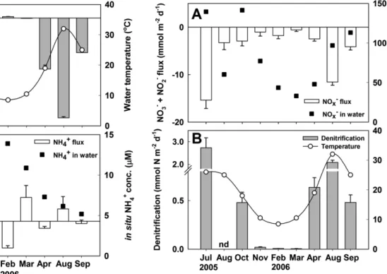 Fig. 3. Correlation between oxygen flux (mean±SE) and in situ water temperature in the tidal flats in the Nakdong River Estuary from July 2005 to September 2006 (y=1.45x -12.88, R 2 =0.80, P<0.001).