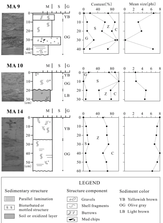 Table 2. Summary of textural and statistical parameters of the surface sediments investigated in 1998 and 2007.
