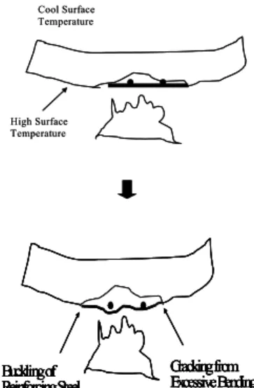 Fig.  5  염분에  의한  손상  메카니즘