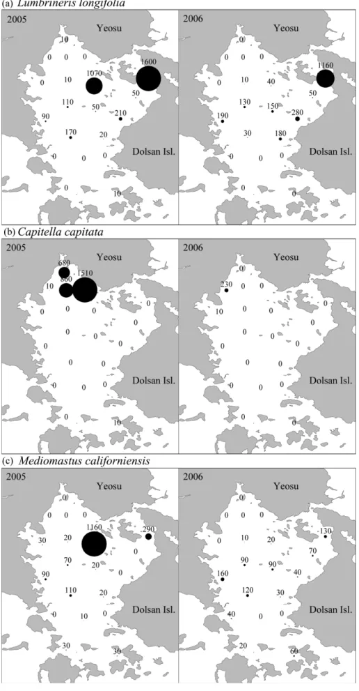 Fig. 5. Dominant polychaete species showing decrease of density in February 2006 compared to that in February 2005.