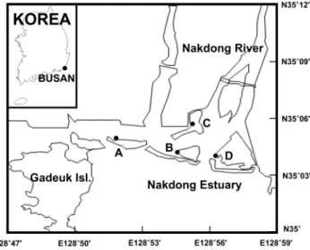 Fig. 1.  Study sites in Nakdong Estuary intertidal flats. Fig. 2.  Temporal variation of chl  a  concentration at four sites (in 10 cm sediment).