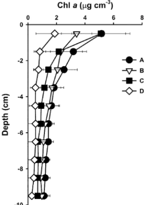 Fig. 3.  Depths profiles of chl  a  concentrations at four sites.