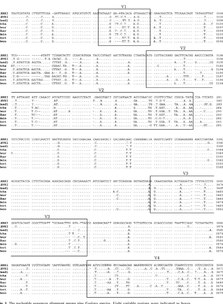 Fig. 1.  The nucleotide sequences alignment among nine  Euplotes  species. Eight variable regions were indicated as boxes.