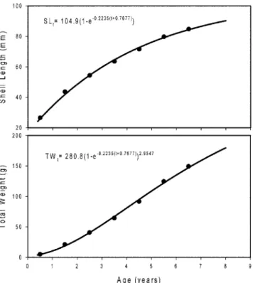 Fig. 7.  von Bertalanffy growth curves of Meretrix lusoria.