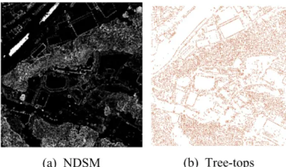 Figure 7. Errors of extracted tree-tops