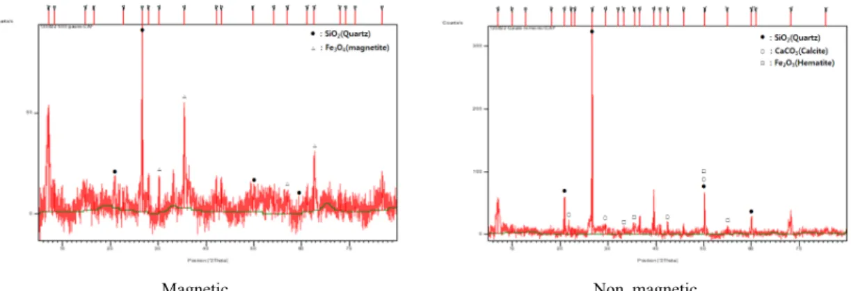 Fig. 5. SEM microphotographs and EDS patterns of carbon.
