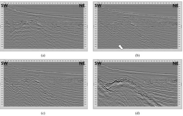 Fig. 10. Comparison of enlarged sections of (a) the brute stack, (b) the processed stack, (c) the post-stack migrated and  (d) the pre-stack migrated.