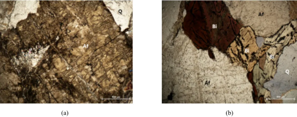 Fig. 5. Photos of (a) UJ1-N and (b) UJ1-F samples by polarization microscopy under crossed polars