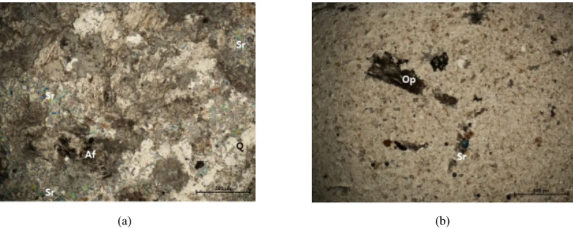 Fig. 7. Photos of (a) YS1-N and (b) YS1-F samples by polarization microscopy under crossed polars