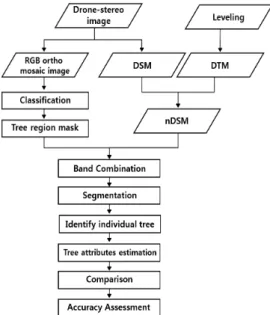 Figure  2.  Ground  level  measurement 