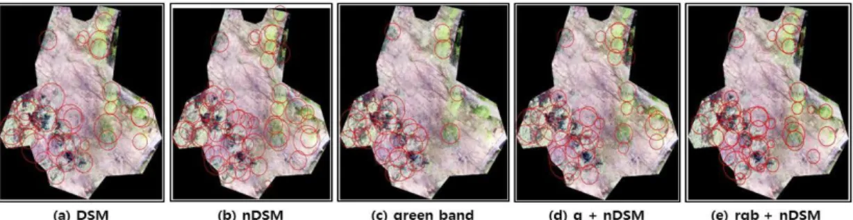 Figure  7.  Comparison  by  band  combination  image  of  May