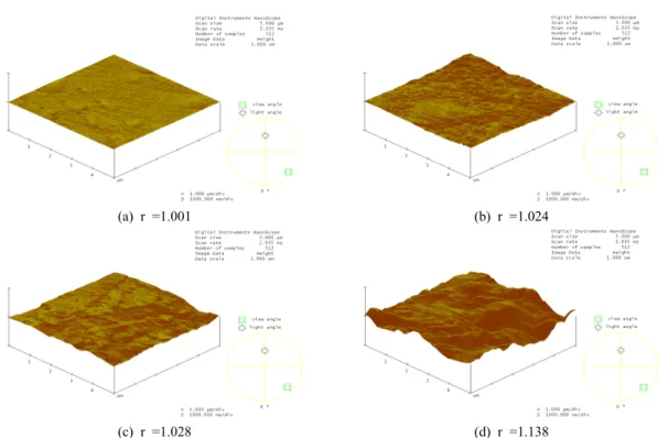 Fig. 12. AFM images on surface roughness(r) of a slide glass. (a)orignal surface, (b)surface abraded sandpaper #700,  (c)surface abraded sandpaper #600, (d)surface abraded sandpaper #220.