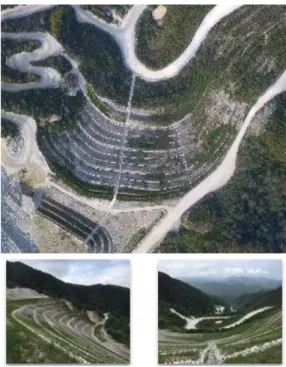 Figure  2.  Ecological  restoration  area